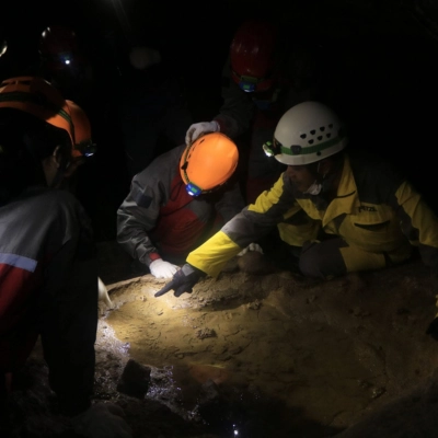 Peserta sedang melihat ikan udang pruba di cekungan