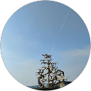 Aljunda Salsabila profile picture